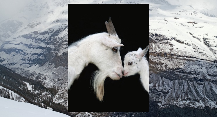 2019 - Time for Spirit, time for Harmony